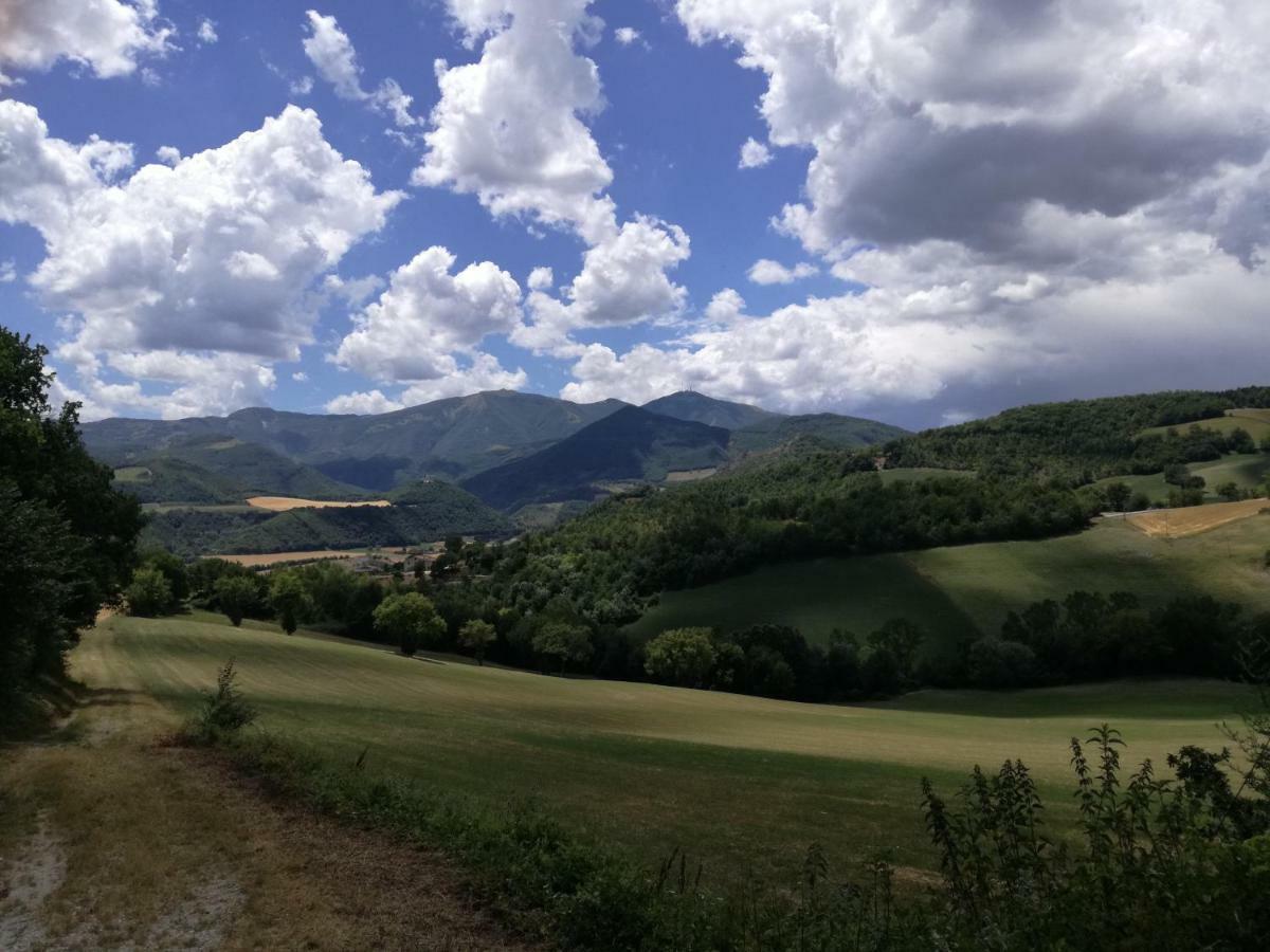 Oasi Dei Vandali Vila Mondolfo Exterior foto